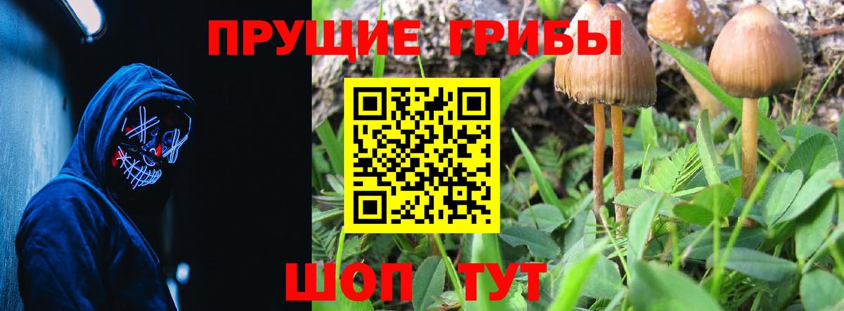 Галлюциногенные грибы ЛСД Корсаков
